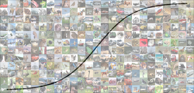 Winner takes all: A look at activations and cost functions