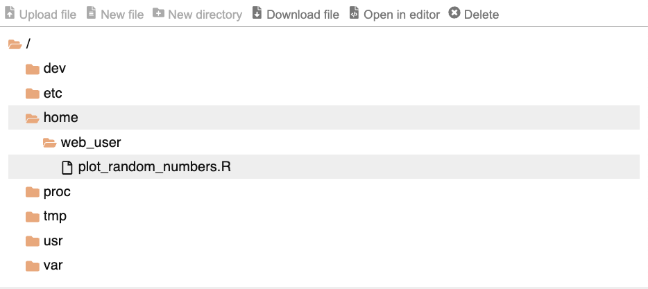 A screenshot of the files pane showing the path /home/web_user/plot_random_numbers.R